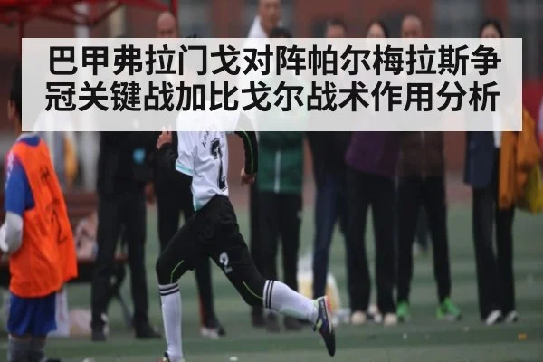 巴甲弗拉门戈对阵帕尔梅拉斯争冠关键战加比戈尔战术作用分析