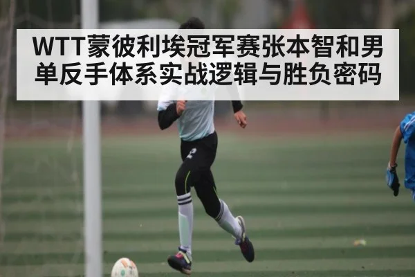 WTT蒙彼利埃冠军赛张本智和男单反手体系实战逻辑与胜负密码